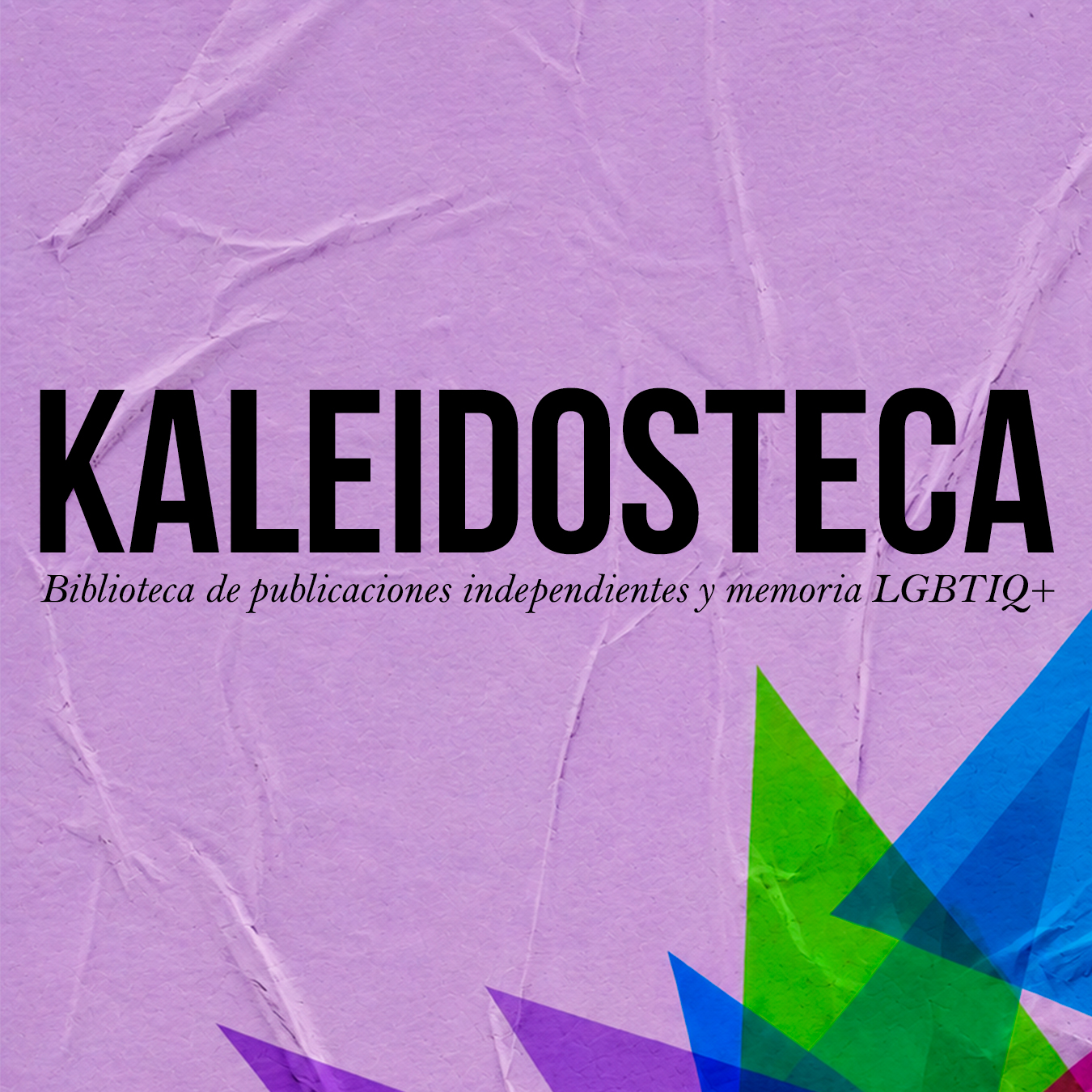 Kaleidosteca